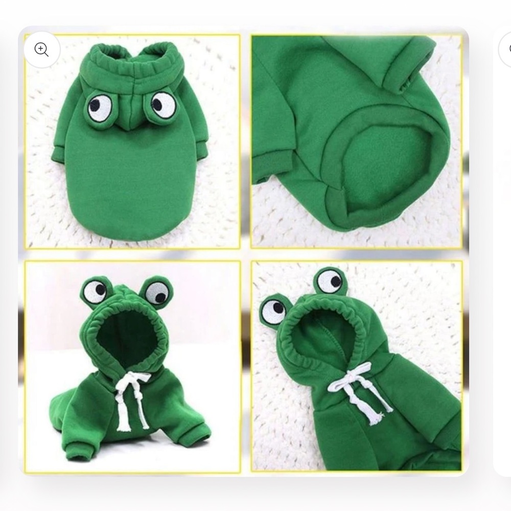 Froggy Dog Winter Hoodie